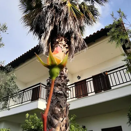 Glarokavos * بيفكوهوري