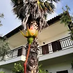 Glarokavos * Pefkochori